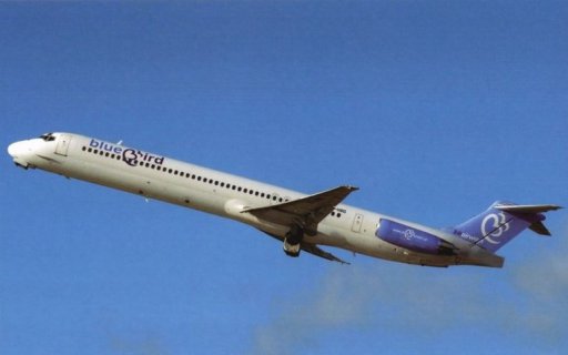 bluebird airways baggage