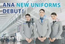 Airline issue postcard - ANA All Nippon Airways stewardess new uniform