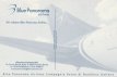 Airline issue postcard - Blue Panorama Airlines 76 Airline issue postcard - Blue Panorama Airlines Boeing 767-300ER