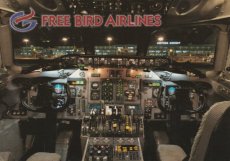 Airline issue postcard - Free Bird Airlines Airline issue postcard - Free Bird Airlines MD-83 cockpit