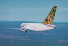 Airline issue postcard - Frontier Airlines B737200 Airline issue postcard - Frontier Airlines Boeing 737-200 N217US "Lioness & cub"