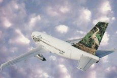 Airline issue postcard - Frontier Airlines Boeing 737-200 N271FL "Blue heron"