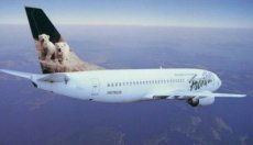 Airline issue postcard - Frontier Airlines Boeing 737-300 N578US "Polar bear"