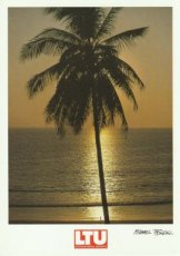 Airline issue postcard - LTU Germany - advertisement - Palm tree
